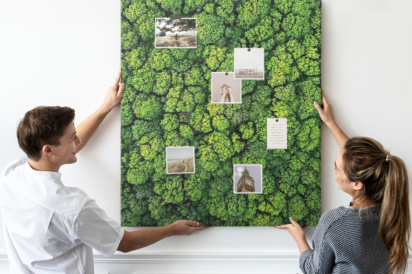 Prikbord van kurk met een afbeelding van een groen bos vanuit vogelperspectief