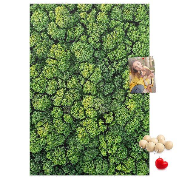 Prikbord van kurk met een afbeelding van een groen bos vanuit vogelperspectief