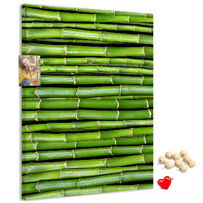 Kurken memobord met decoratieve groene bamboestengels