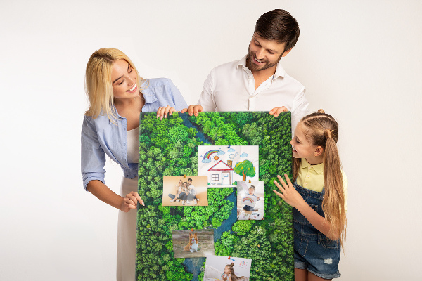 Kurken prikbord met een groen landschap met een kronkelende rivier