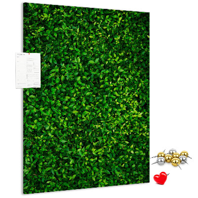 Kurk memobord met decoratieve groene bladeren