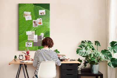 Kurk bedrukken met groene golven en delicate lijnen