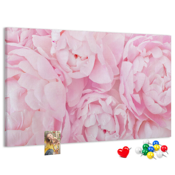 Kurk prikbord roze pioenrozen in een delicate tint