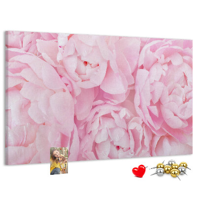 Kurk prikbord roze pioenrozen in een delicate tint