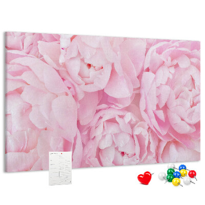 Kurk prikbord roze pioenrozen in een delicate tint