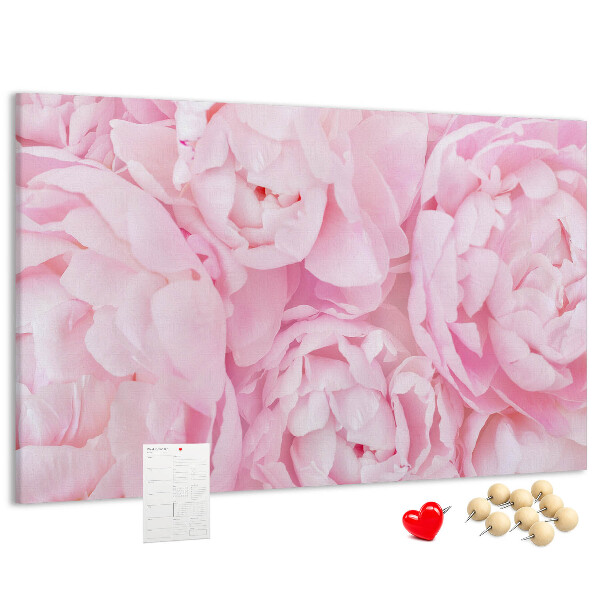 Kurk prikbord roze pioenrozen in een delicate tint