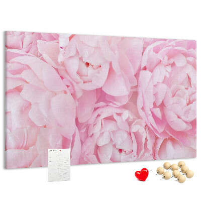 Kurk prikbord roze pioenrozen in een delicate tint