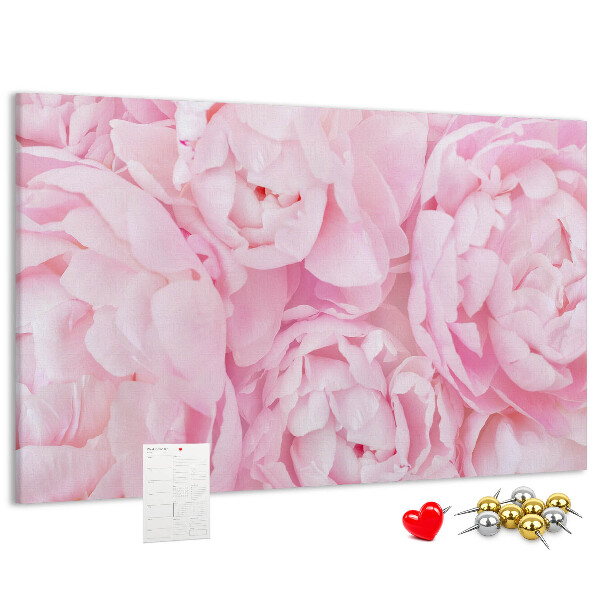 Kurk prikbord roze pioenrozen in een delicate tint