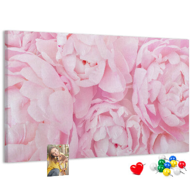 Kurk prikbord roze pioenrozen in een delicate tint