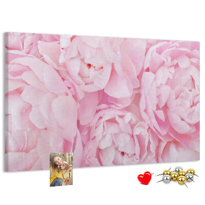 Kurk prikbord roze pioenrozen in een delicate tint