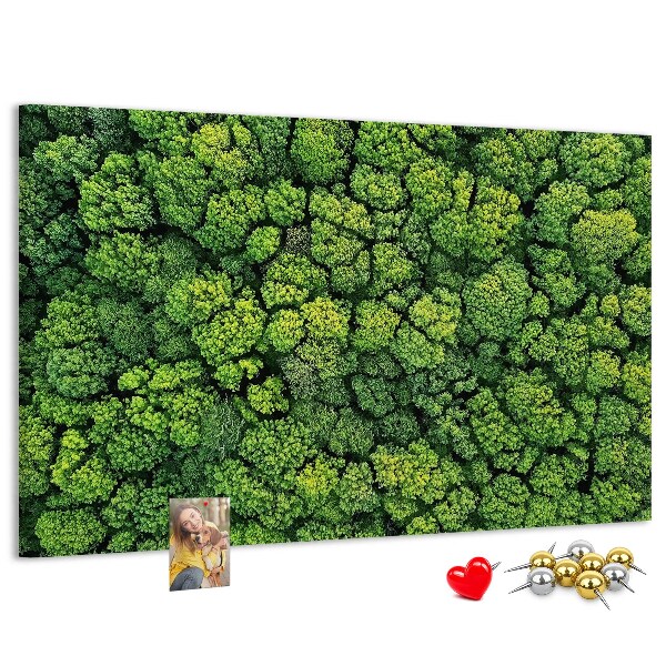 Kurk prikbord met een afbeelding van een groen bos met dichte vegetatie