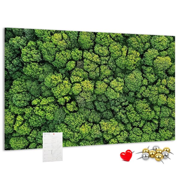 Kurk prikbord met een afbeelding van een groen bos met dichte vegetatie