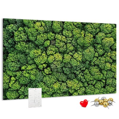 Kurk prikbord met een afbeelding van een groen bos met dichte vegetatie