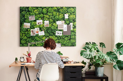 Kurk prikbord met een afbeelding van een groen bos met dichte vegetatie