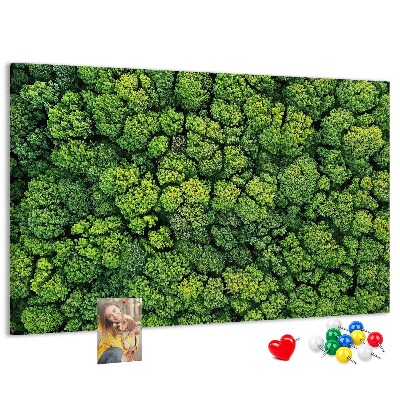 Kurk prikbord met een afbeelding van een groen bos met dichte vegetatie