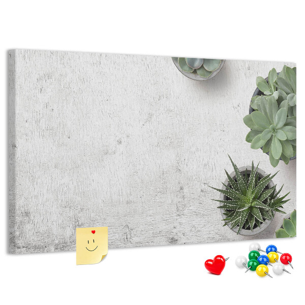 potplanten op een grijze achtergrond