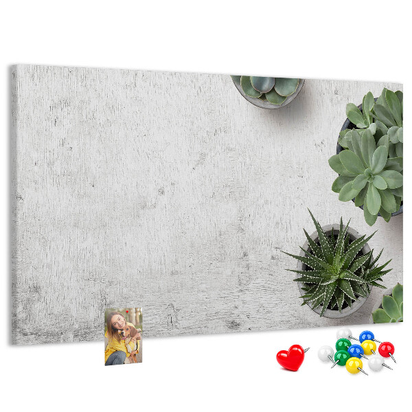 Kurkbord potplanten op een grijze achtergrond
