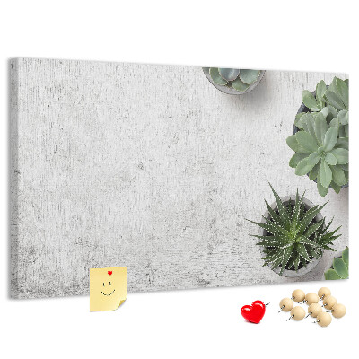 Kurkbord potplanten op een grijze achtergrond