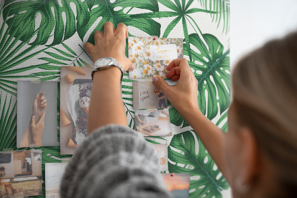 Prikbord met talrijke bladeren van tropische planten in het groen