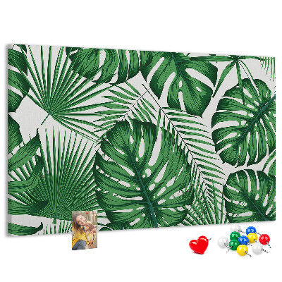 Prikbord met talrijke bladeren van tropische planten in het groen