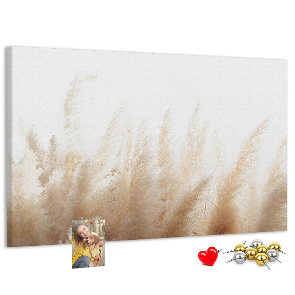 Kurkbord met fijne grassen op een lichte achtergrond