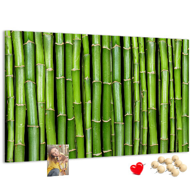 Prikbord met groene bamboestengels in natuurlijke schikking