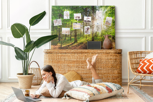 Kurkbord zonnestralen in het groene bos