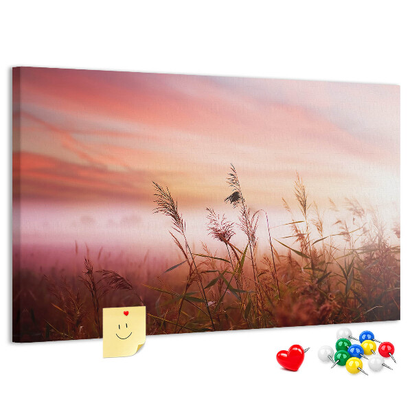Kurk prikbord met een afbeelding van een zonsondergang boven een grasveld