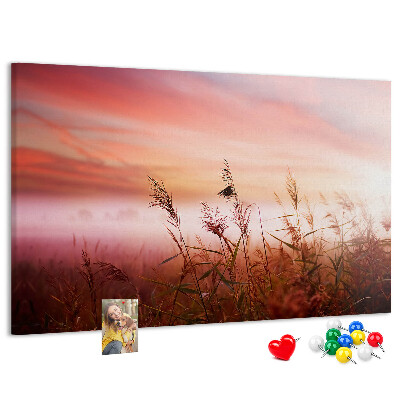 Kurk prikbord met een afbeelding van een zonsondergang boven een grasveld