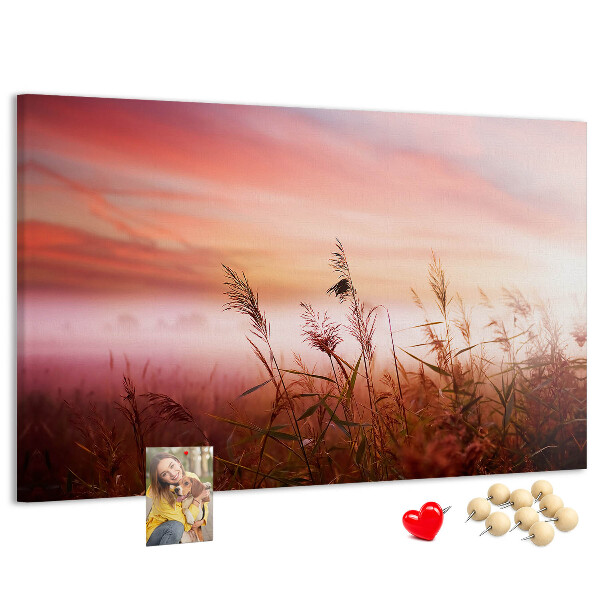 Kurk prikbord met een afbeelding van een zonsondergang boven een grasveld