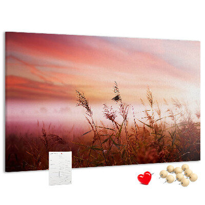 Kurk prikbord met een afbeelding van een zonsondergang boven een grasveld