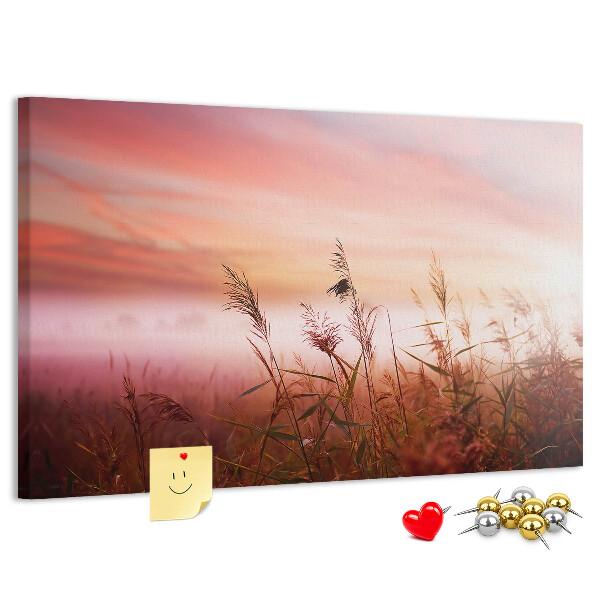 Kurk prikbord met een afbeelding van een zonsondergang boven een grasveld