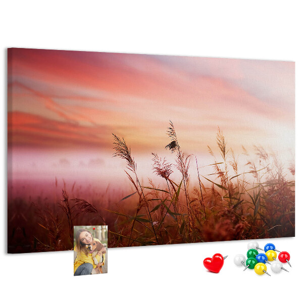 Kurk prikbord met een afbeelding van een zonsondergang boven een grasveld