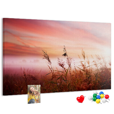 Kurk prikbord met een afbeelding van een zonsondergang boven een grasveld