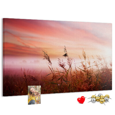 Kurk prikbord met een afbeelding van een zonsondergang boven een grasveld