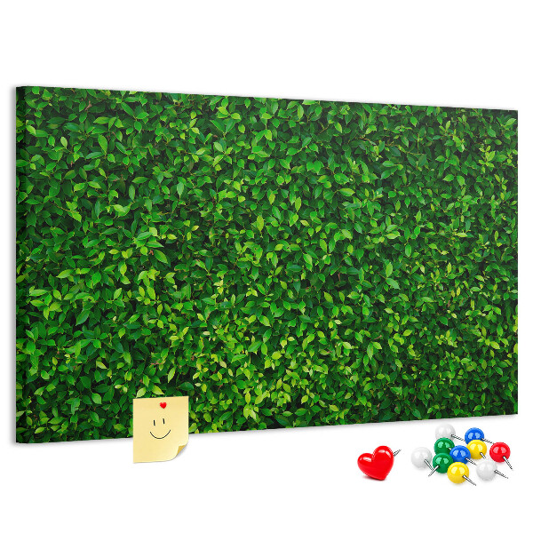 Kurken prikbord met groene muur en bladerrijk plantenpatroon