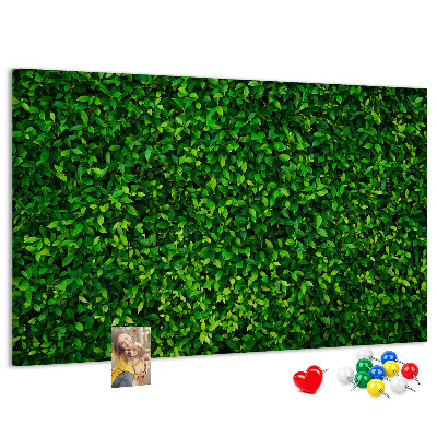 Kurken prikbord met groene muur en bladerrijk plantenpatroon