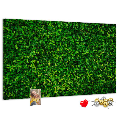 Kurken prikbord met groene muur en bladerrijk plantenpatroon