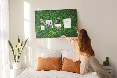 Kurken prikbord met groene muur en bladerrijk plantenpatroon