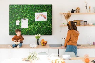 Kurken prikbord met groene muur en bladerrijk plantenpatroon