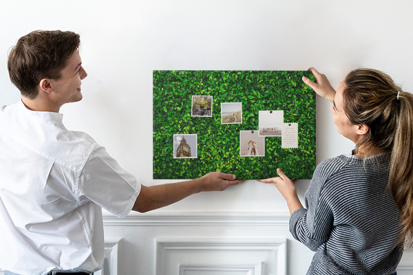 Kurken prikbord met groene muur en bladerrijk plantenpatroon