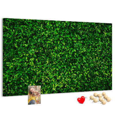 Kurken prikbord met groene muur en bladerrijk plantenpatroon