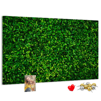 Kurken prikbord met groene muur en bladerrijk plantenpatroon