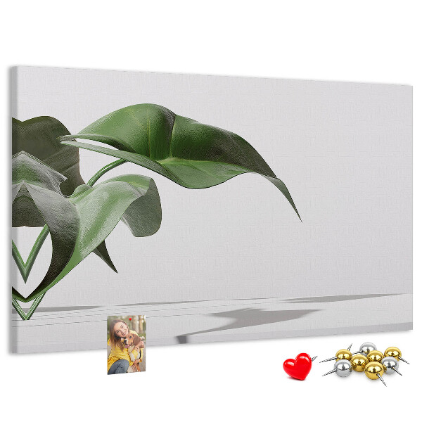 Kurkbord fijne blaadjes op een minimalistische achtergrond