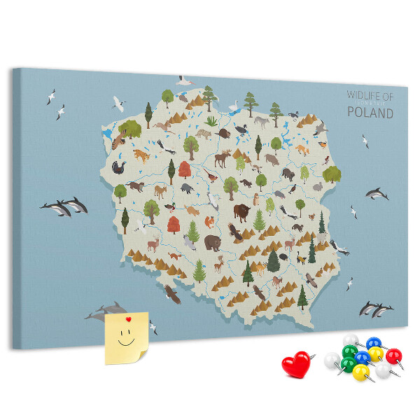 Kurkbord met een kleurrijke kaart van de Poolse fauna