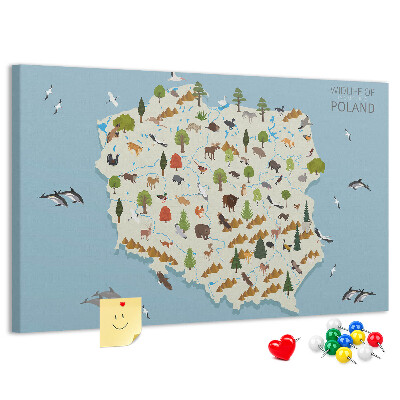 Kurkbord met een kleurrijke kaart van de Poolse fauna