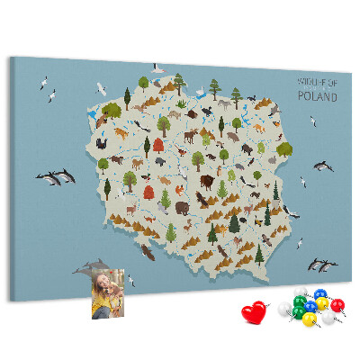 Kurkbord met een kleurrijke kaart van de Poolse fauna