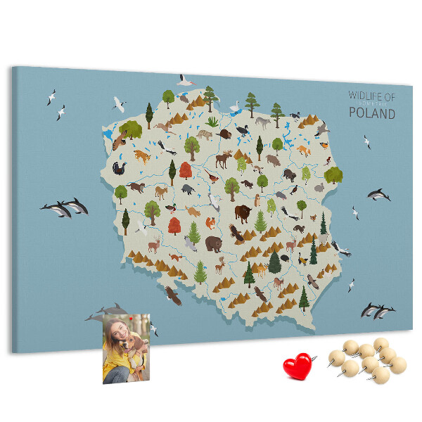 Kurkbord met een kleurrijke kaart van de Poolse fauna