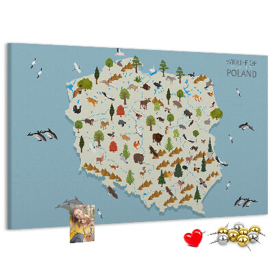Kurkbord met een kleurrijke kaart van de Poolse fauna