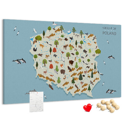 Kurkbord met een kleurrijke kaart van de Poolse fauna